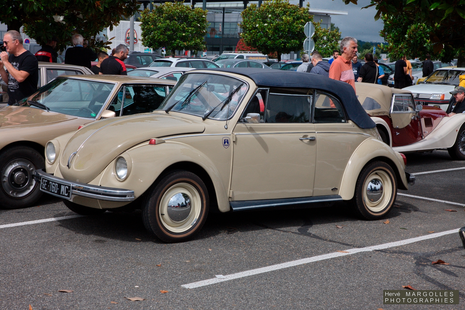 VW Cox_01.jpg